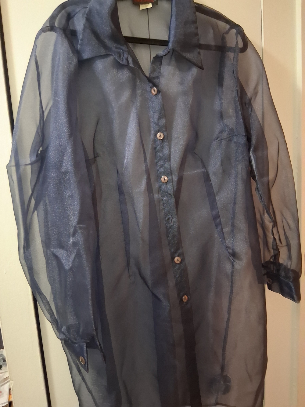 Sheer Navy Button-Front Blouse with Subtle Shine